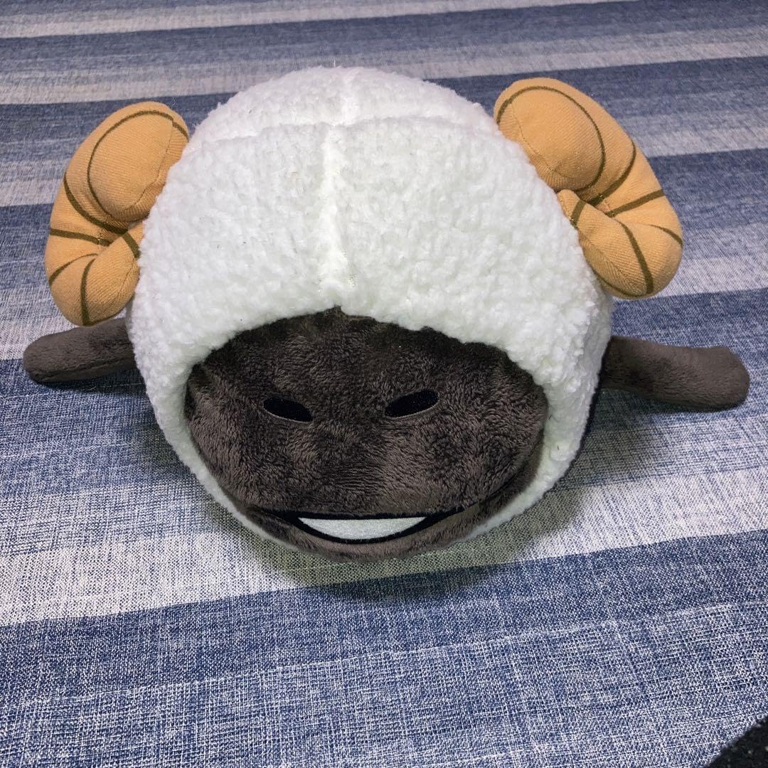 Amazon.co.jp: おさわり探偵 なめこ栽培キット くったりBIG ぬいぐるみ